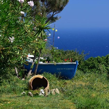 Panoramma Hause, Kampos Evdilou,Ikaria Leilighet Evdilos  Eksteriør bilde