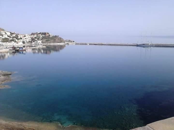 Panoramma Hause, Kampos Evdilou,Ikaria Leilighet Evdilos  Eksteriør bilde