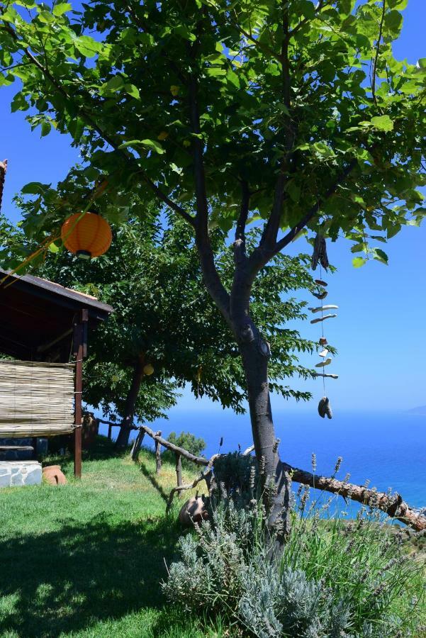 Panoramma Hause, Kampos Evdilou,Ikaria Leilighet Evdilos  Eksteriør bilde